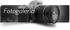 Fotogaleria